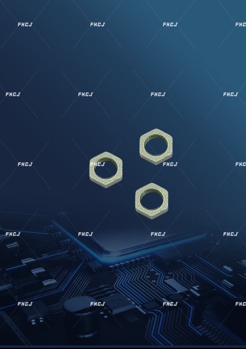 活塞杆螺母(图2)